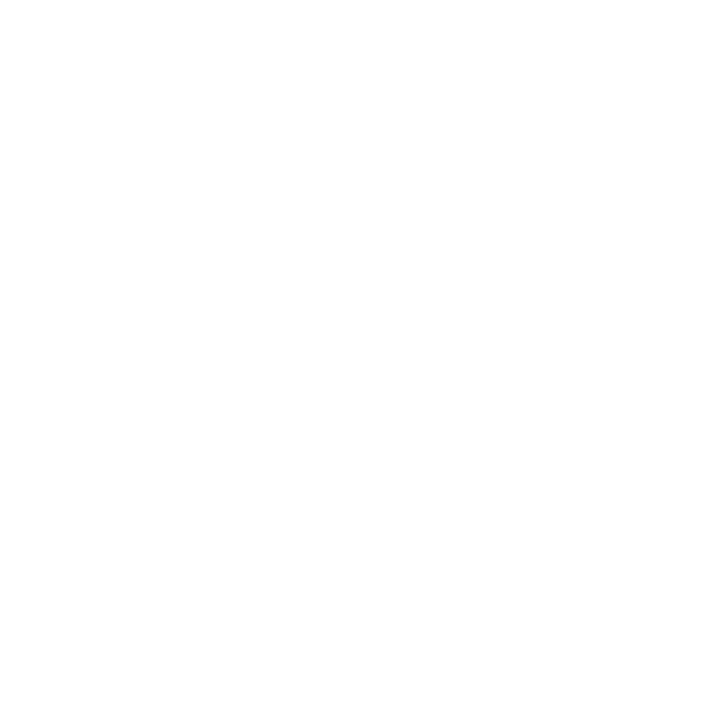 DES SOLUTIONS TECHNOLOGIQUES DE POINTE :