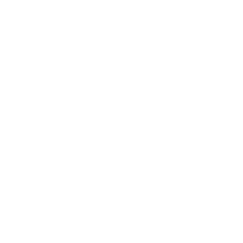 RÉALISATION DE VIDÉO ANIMÉE 2D