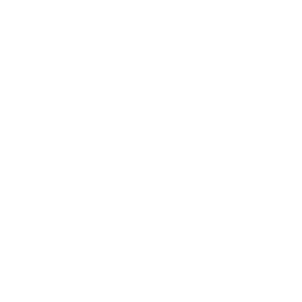 Notre professionnalisme